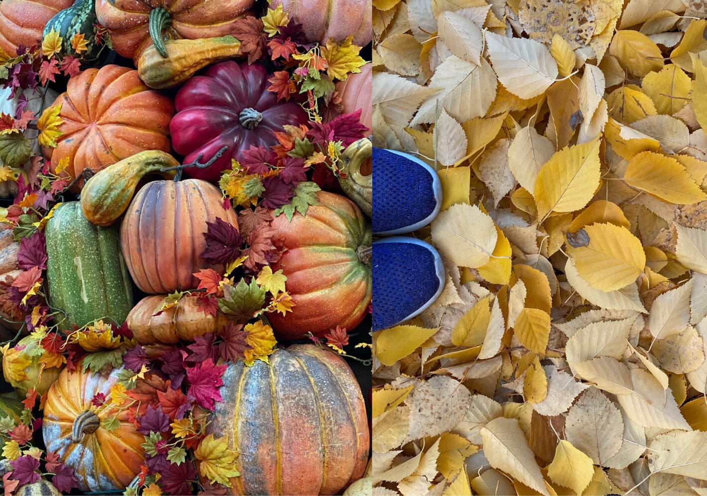 Autumn Leaves and Pumpkins